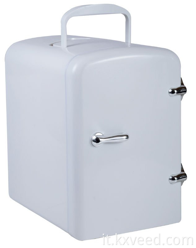 12V 110V-220V Mini frigorito per frigoriferatore termoelettrico e frigorifero più caldo frigorifere 4L frigorifero